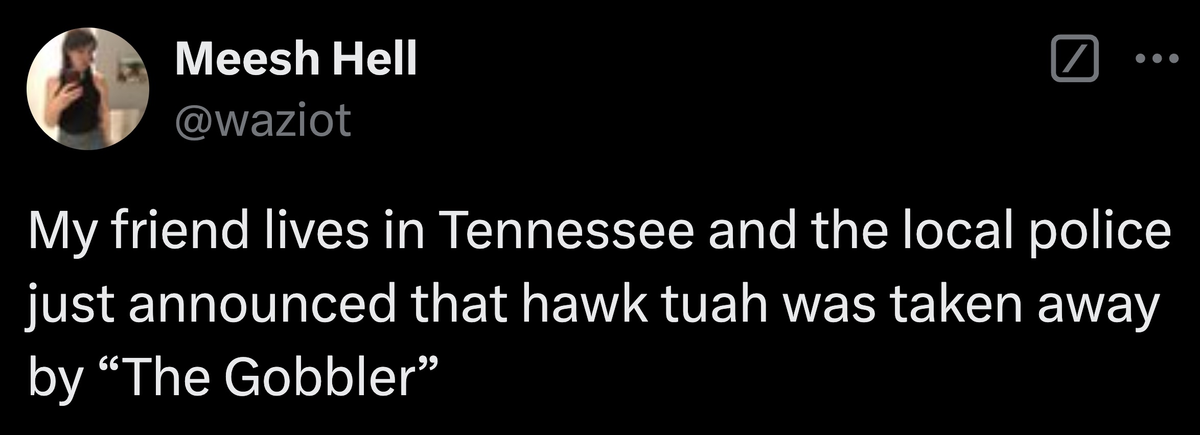 screenshot - Meesh Hell My friend lives in Tennessee and the local police just announced that hawk tuah was taken away by "The Gobbler"